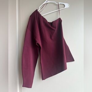 Zara Plum One-Shoulder Top